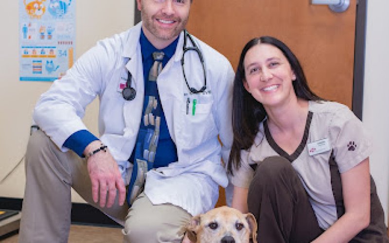 Kittel Family Veterinary Practice Inc.