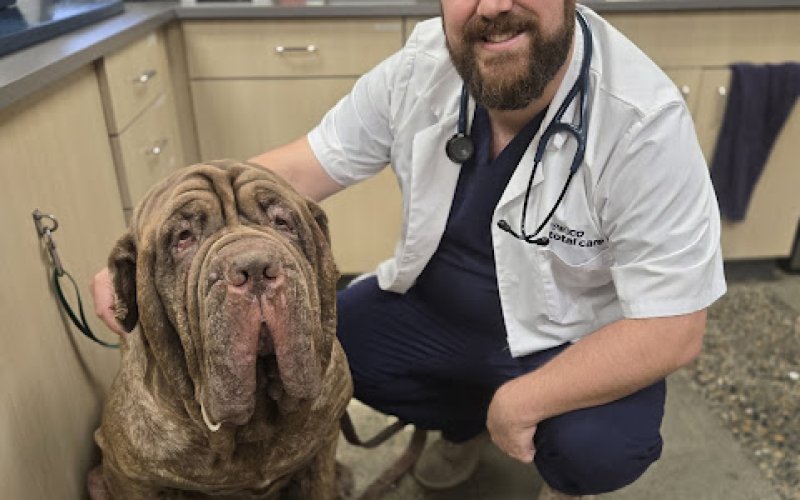 Vetco Total Care