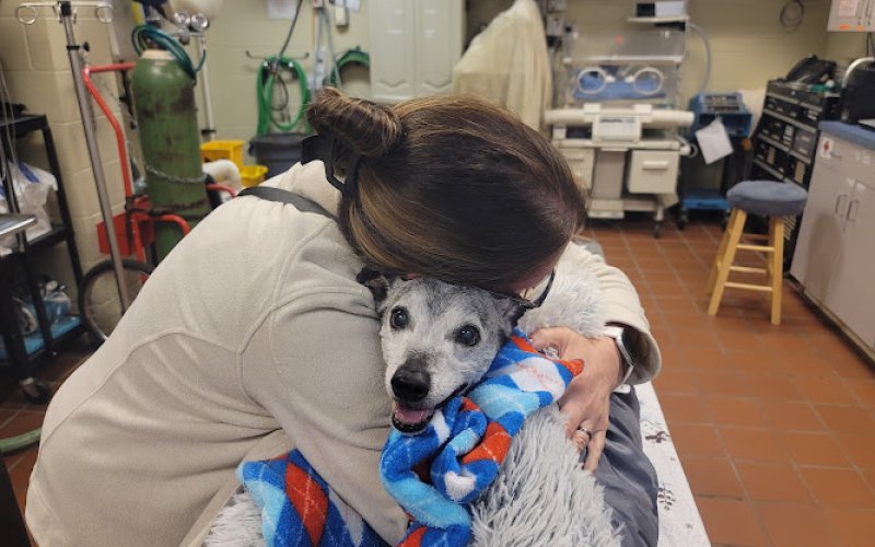 Northwest PA Pet Emergency Center