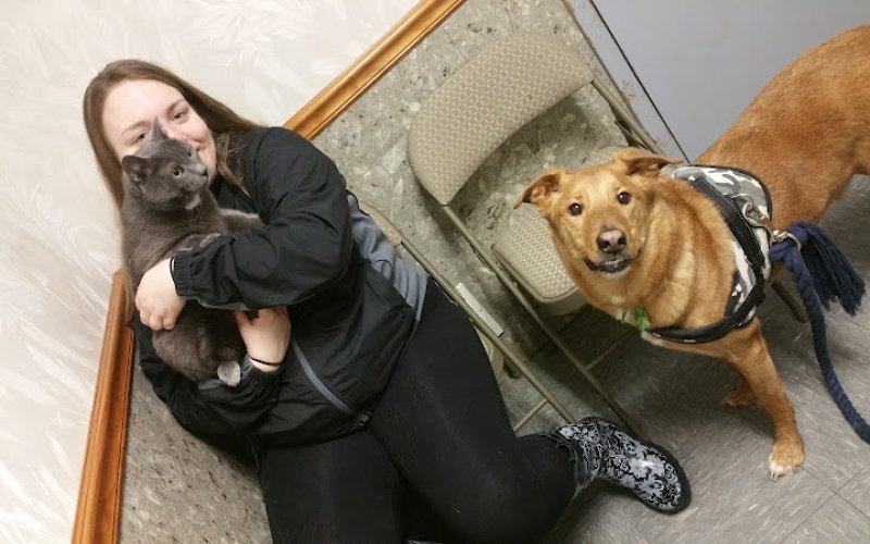 Summit Pet Hospital and Care Center
