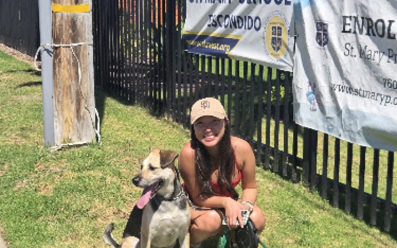 Escondido Pet Care