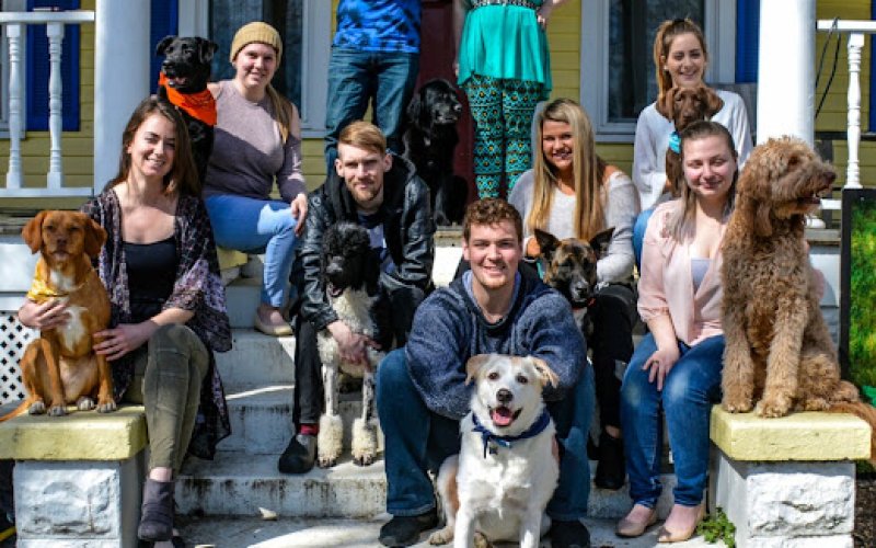 All Breed Grooming, Boarding And Daycare