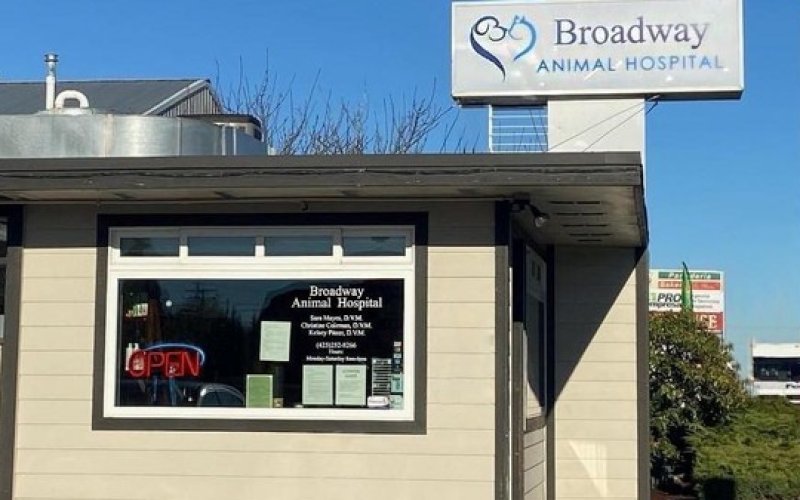 Broadway Animal Hospital