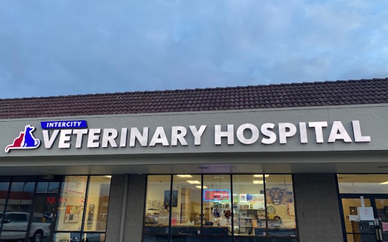 Intercity Veterinary Hospital