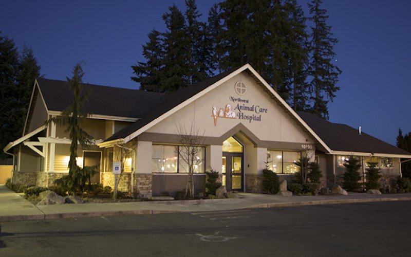 Northwest Animal Care Hospital