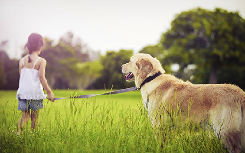 Puget Park Veterinary Clinic