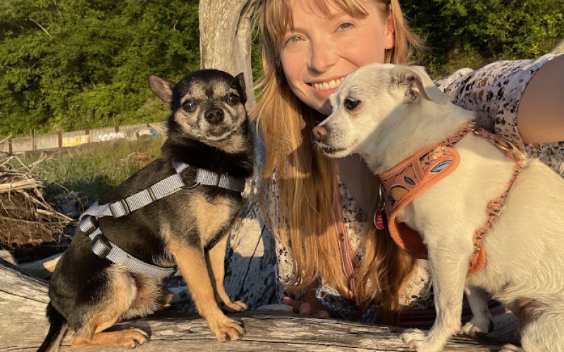 Vacation Pet Care, LLC