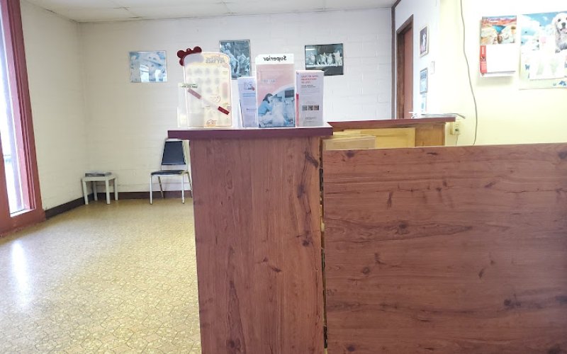 Albern Pet Clinic