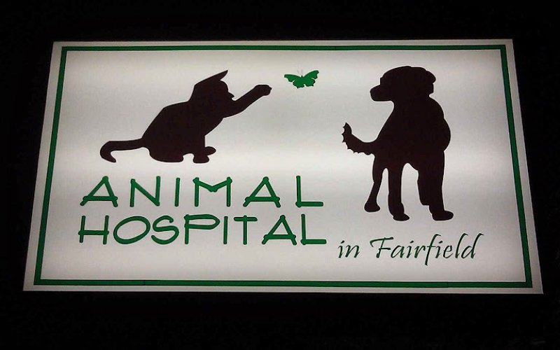Animal Hospital in Fairfield