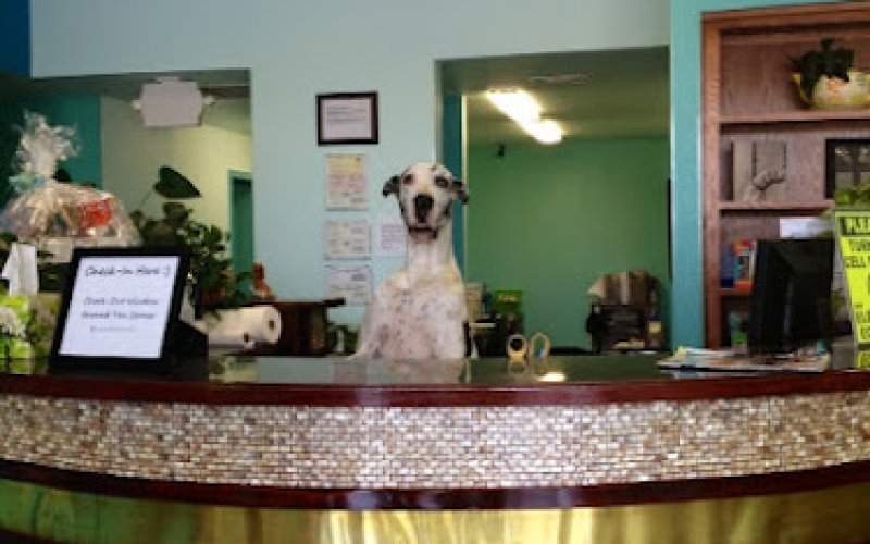 PetCare Veterinary Clinic