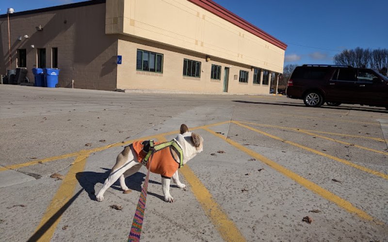 Animal Health Clinic