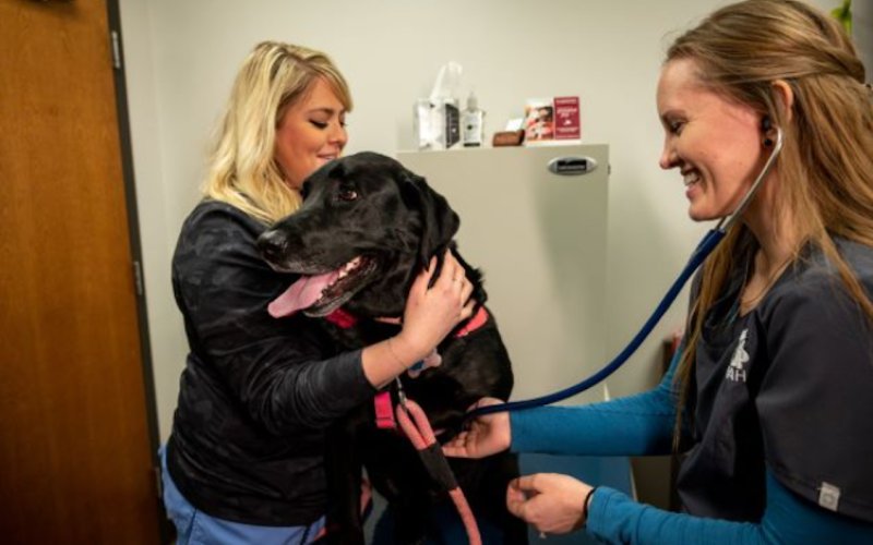 CareVet of West Fargo