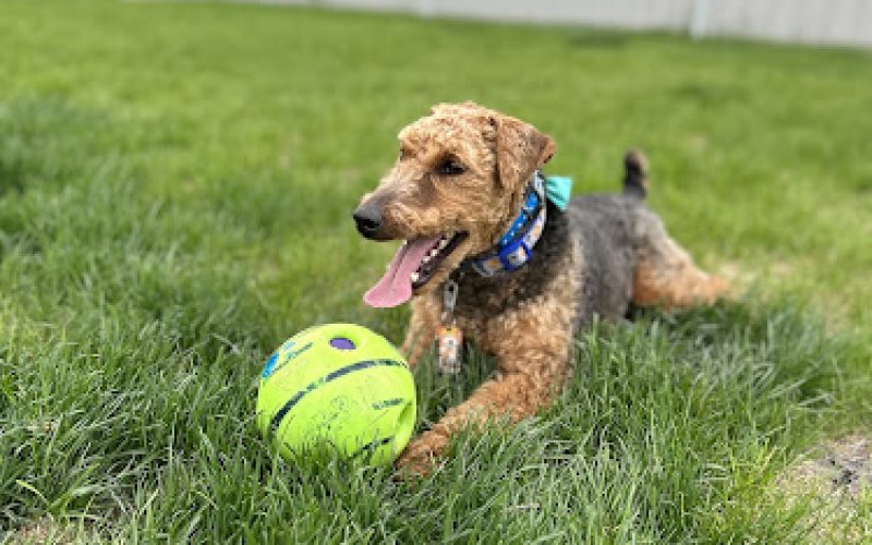 Fetchers