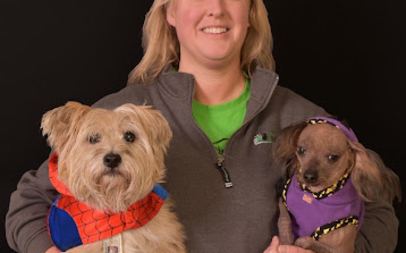 Prairie Dog Daycare, Obedience Training, Grooming and Boarding