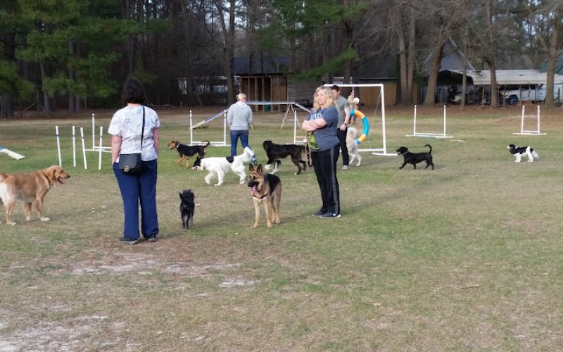 Blessed Oasis Pet Resort