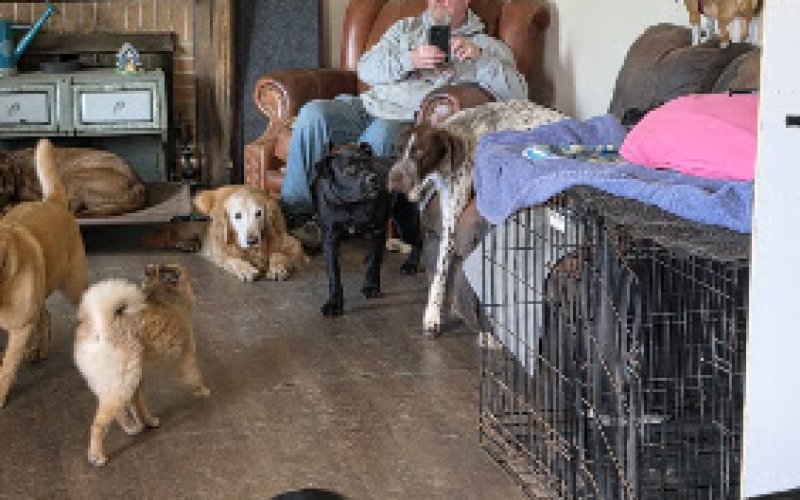 Happy Tails