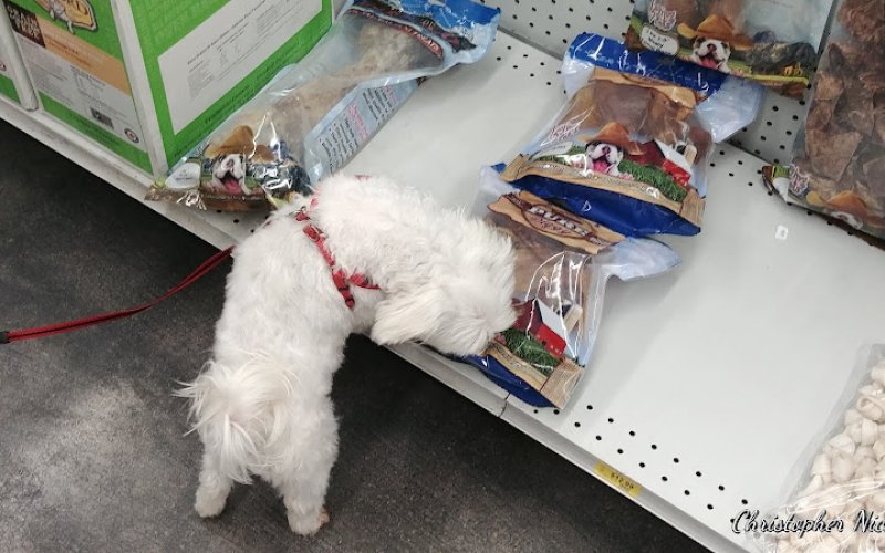 Magoo's Pet Outlet