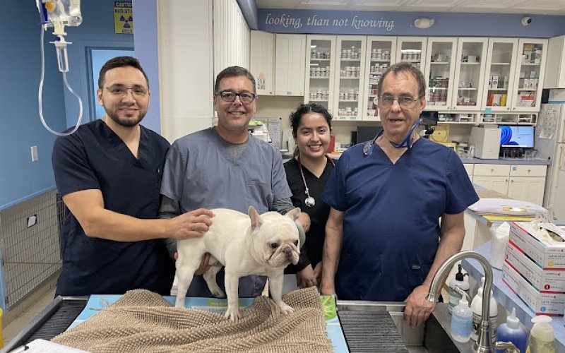 Family Pet Medical Center | 24/7 Animal Emergency & Wellness Care — Veterinarian in Fort Lauderdale