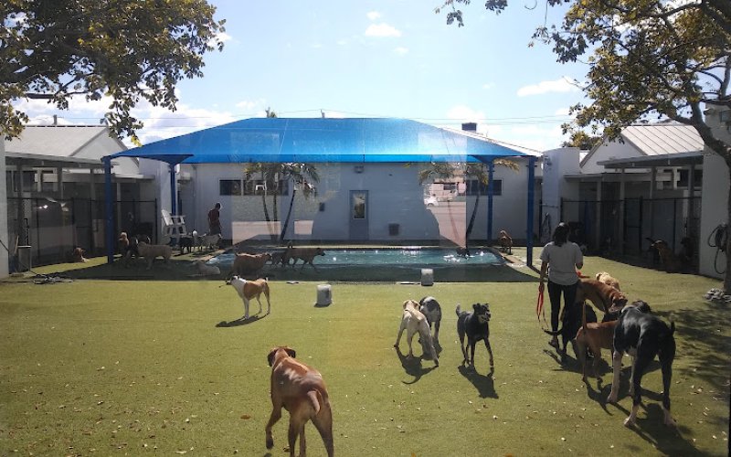 Lauderdale Pet Lodge — Pet boarding service in Fort Lauderdale