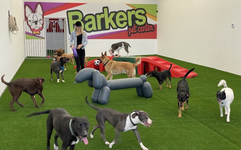 The Barker's Pet Center — Pet boarding service in Fort Lauderdale