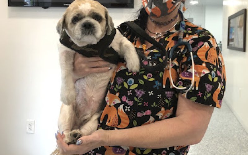 Total Pet Care Animal Hospital — Animal hospital in Fort Lauderdale