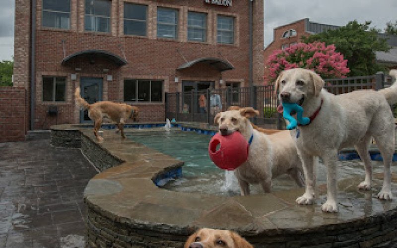 The PARC Grand Resort