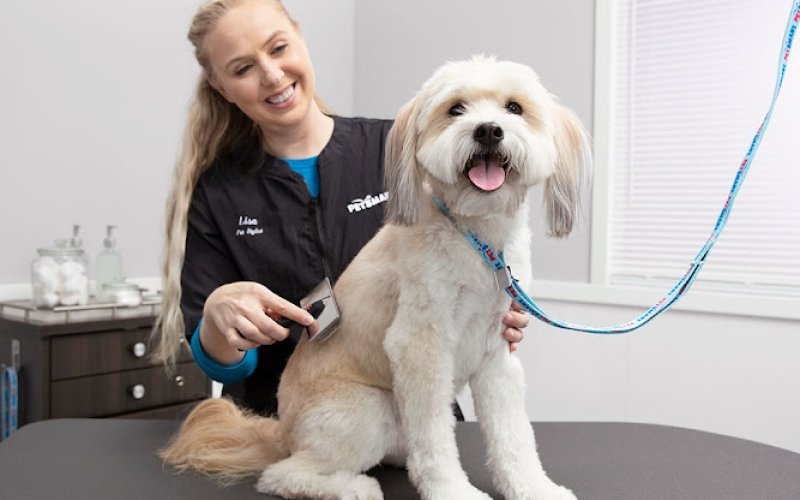 PetSmart — Pet supply store in Fullerton