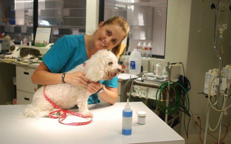 Sunnycrest Animal Care Center — Veterinarian in Fullerton