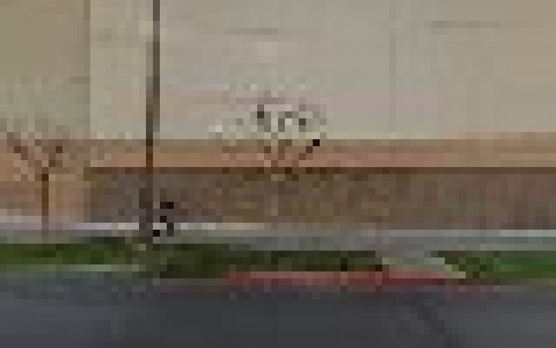 Veterinarian Care Group Fullerton — Veterinarian in Fullerton