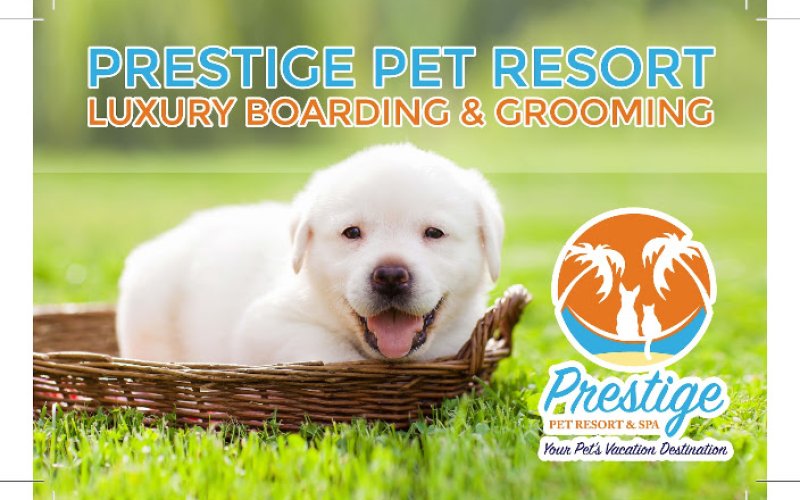 Prestige Pet Resort & Spa