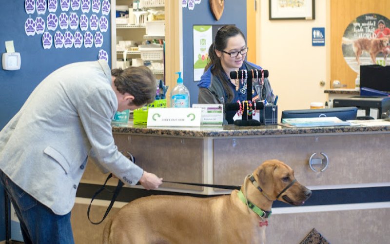 Shores Animal Hospital