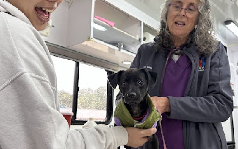 St Francis Vet Care