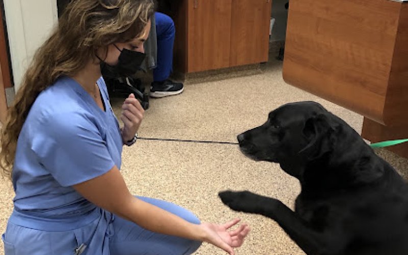 Town & Country Veterinarians and Pet Resort