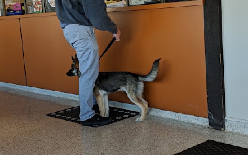 Community Veterinary Hospital