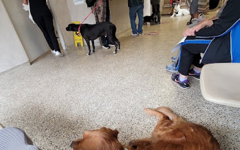 Garden Grove Dog and Cat Hospital