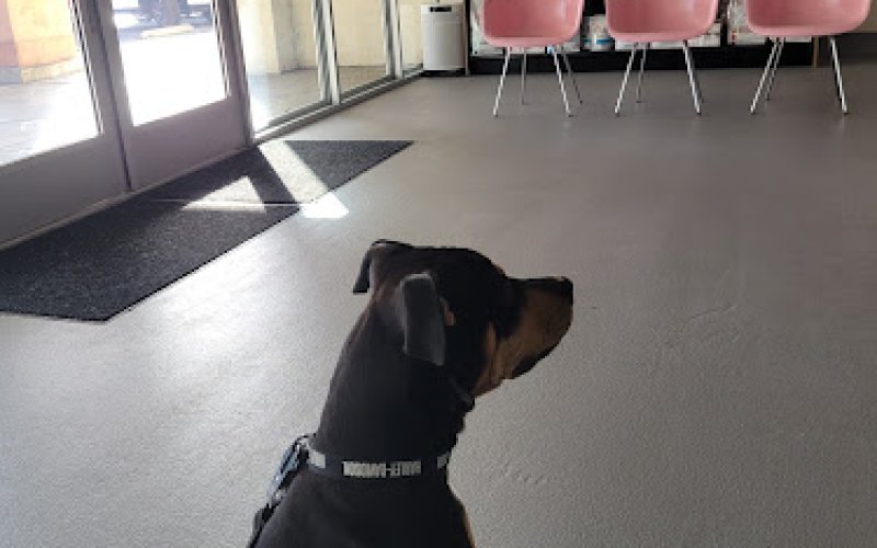 Happy Tails Animal Hospital