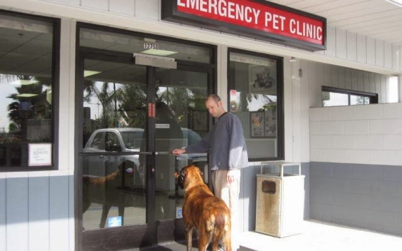 Orange County Emergency Pet Clinic