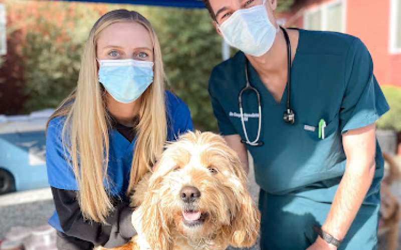 Vet Care Pet Clinic
