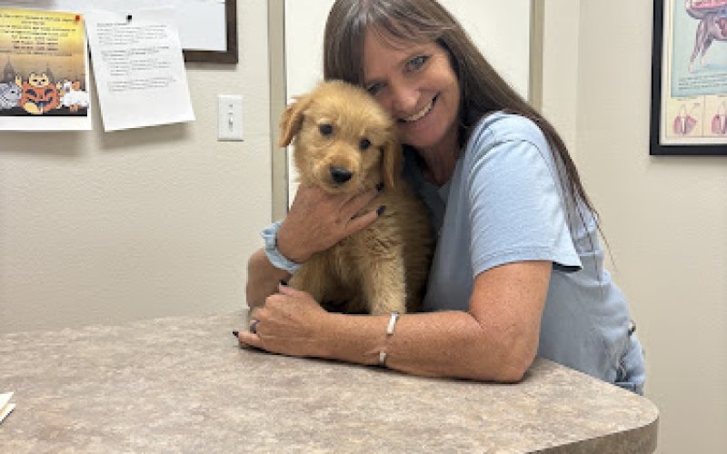 Acoma Animal Clinic