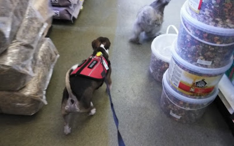 Pratt's Pets - Glendale