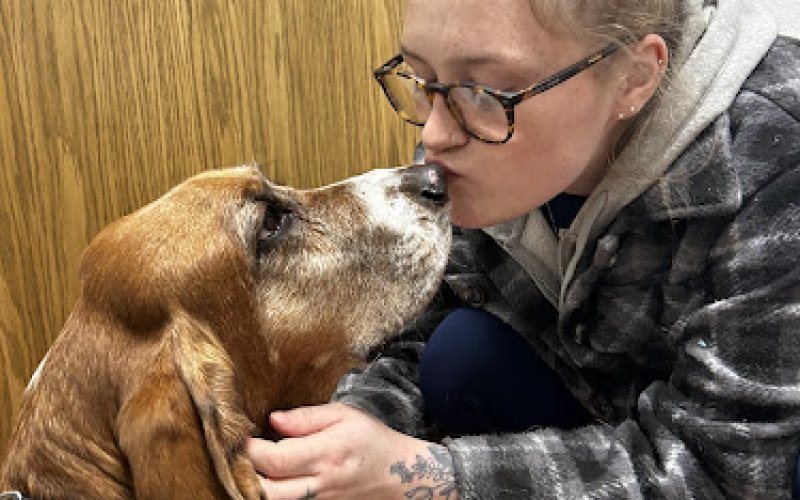 Grand Rapids Vet Clinic — Veterinarian in Grand Rapids