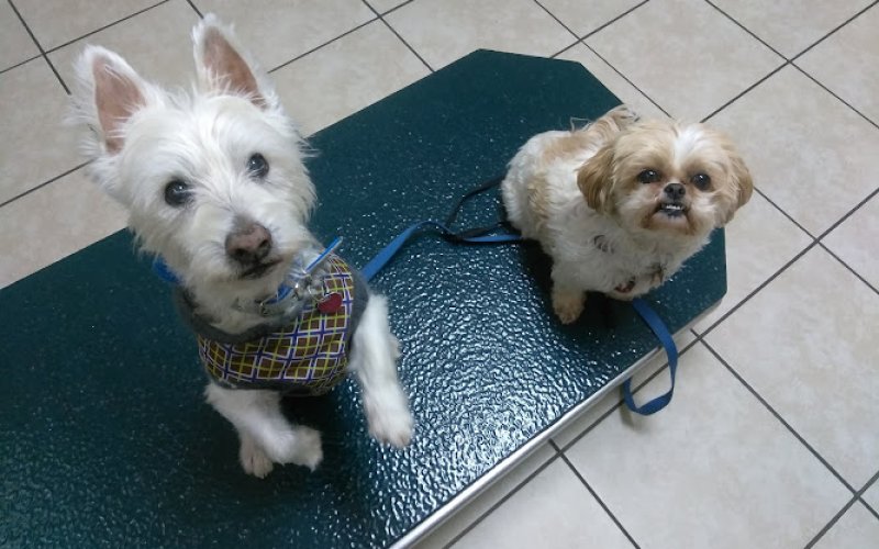Highland Hills Pet Hospital