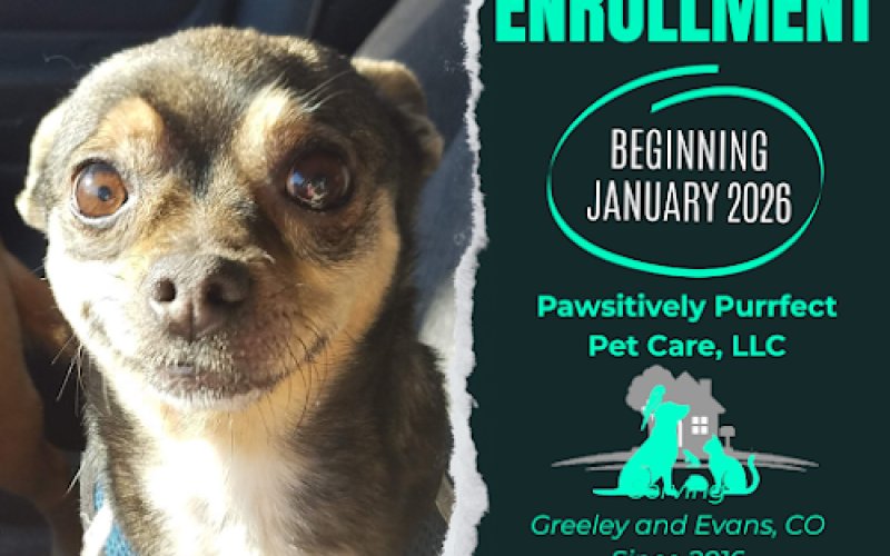 Pawsitively Purrfect Pet Care, LLC