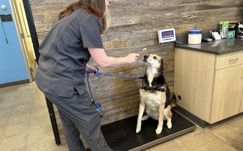 Vetco Total Care