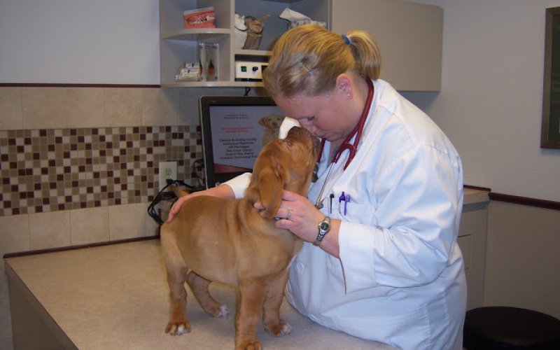 Animal Hospital of Howard