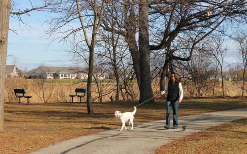 Home Sweet Home In-Home Pet Sitting