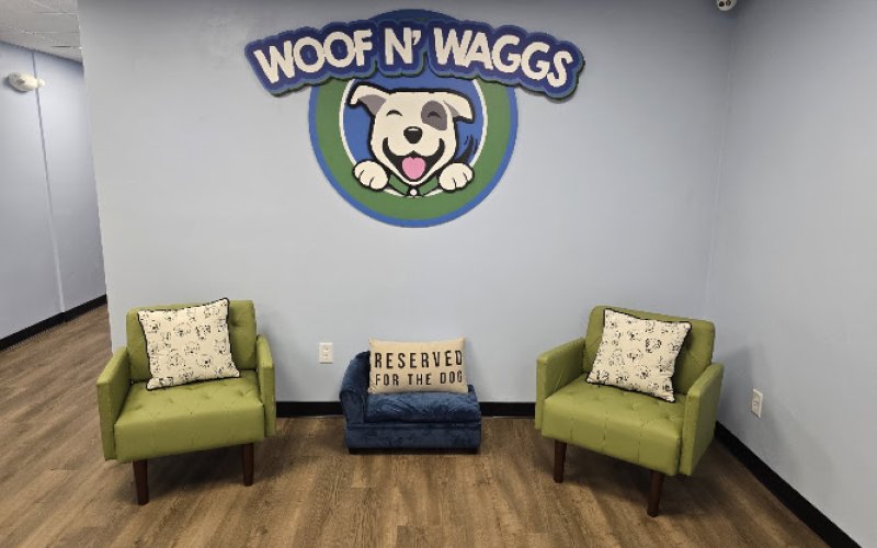 Woof n' Waggs