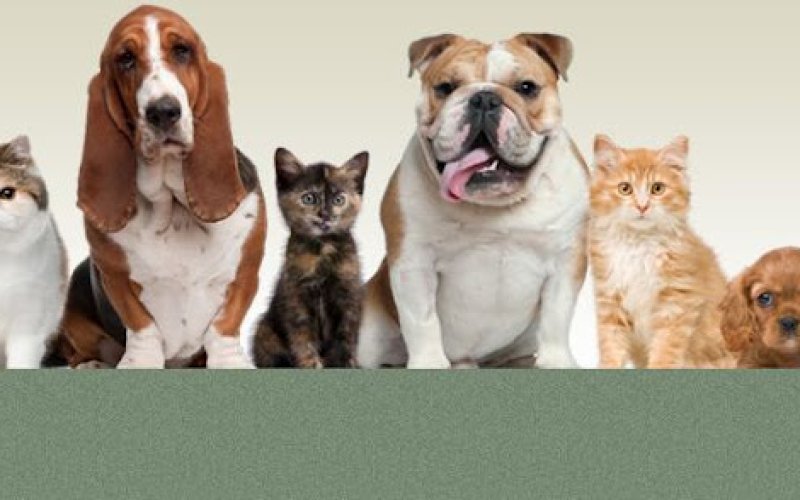 Friendly Animal Clinic
