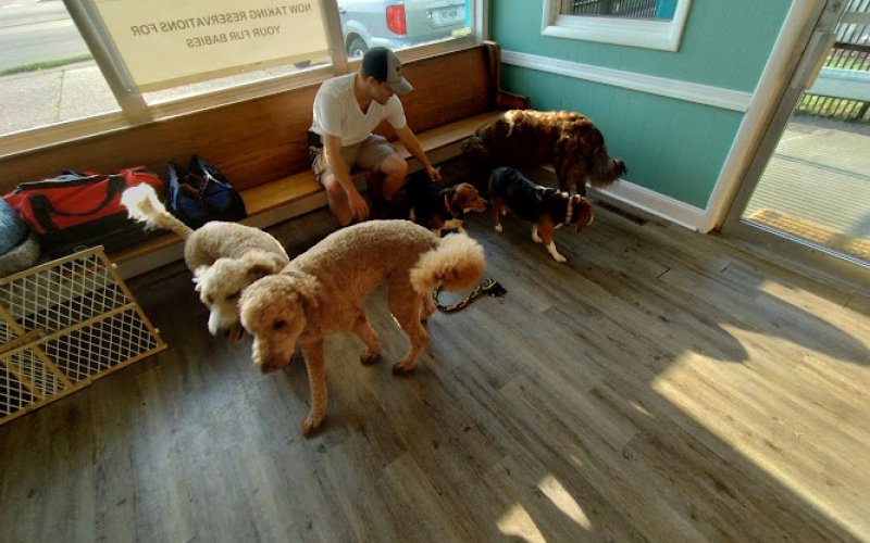 Furry feet Pet Retreat