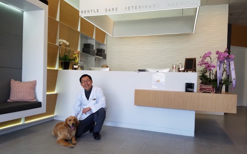Gentle Care Veterinary Hospital